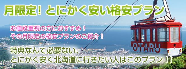月限定価格プラン