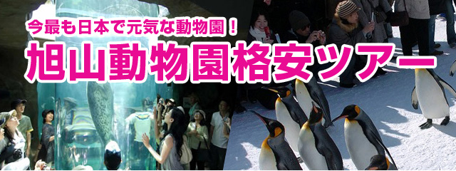 旭山動物園